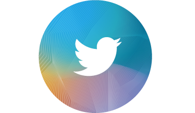 Twitter Button Link zum Twitter-Kanal